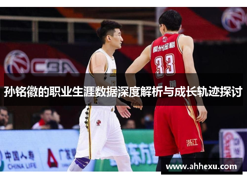 孙铭徽的职业生涯数据深度解析与成长轨迹探讨