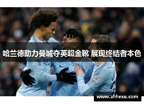 哈兰德助力曼城夺英超金靴 展现终结者本色
